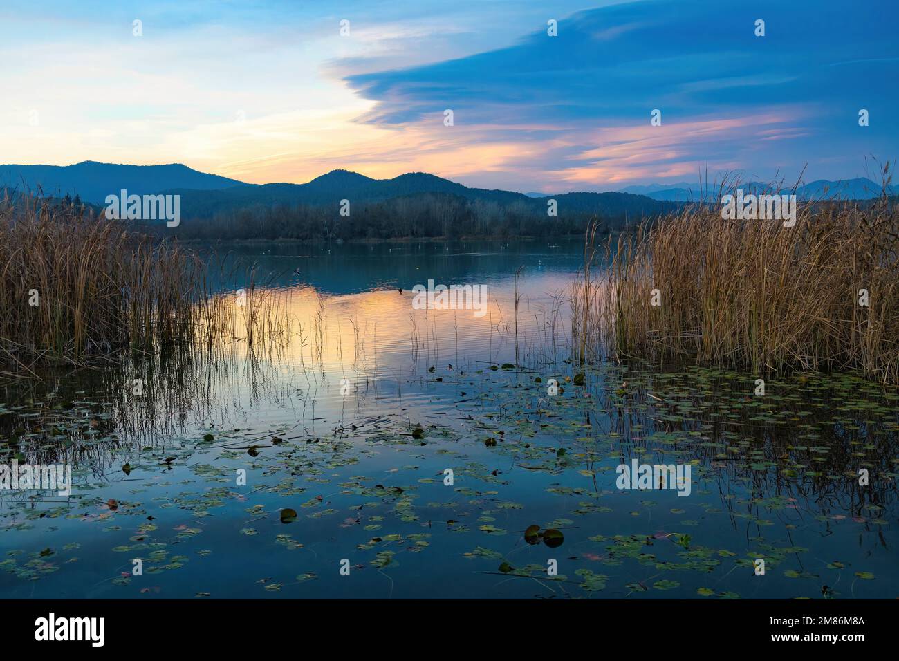 Al tramonto sul lago Banyoles, la tranquillità regna dove le anatre lo amano. Catalogna, Spagna Foto Stock