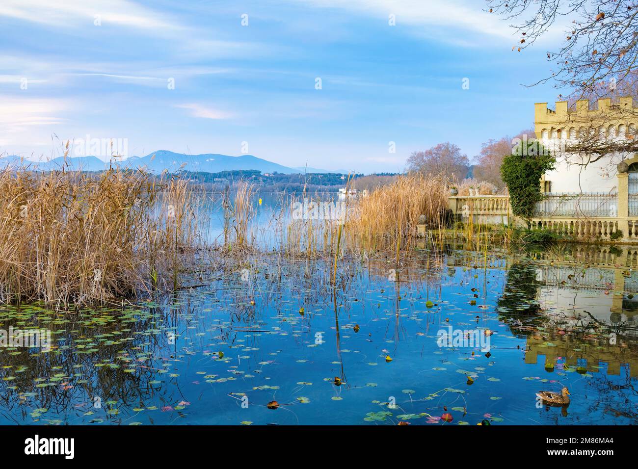 Al tramonto sul lago Banyoles, la tranquillità regna dove le anatre lo amano. Catalogna, Spagna - 2 Foto Stock