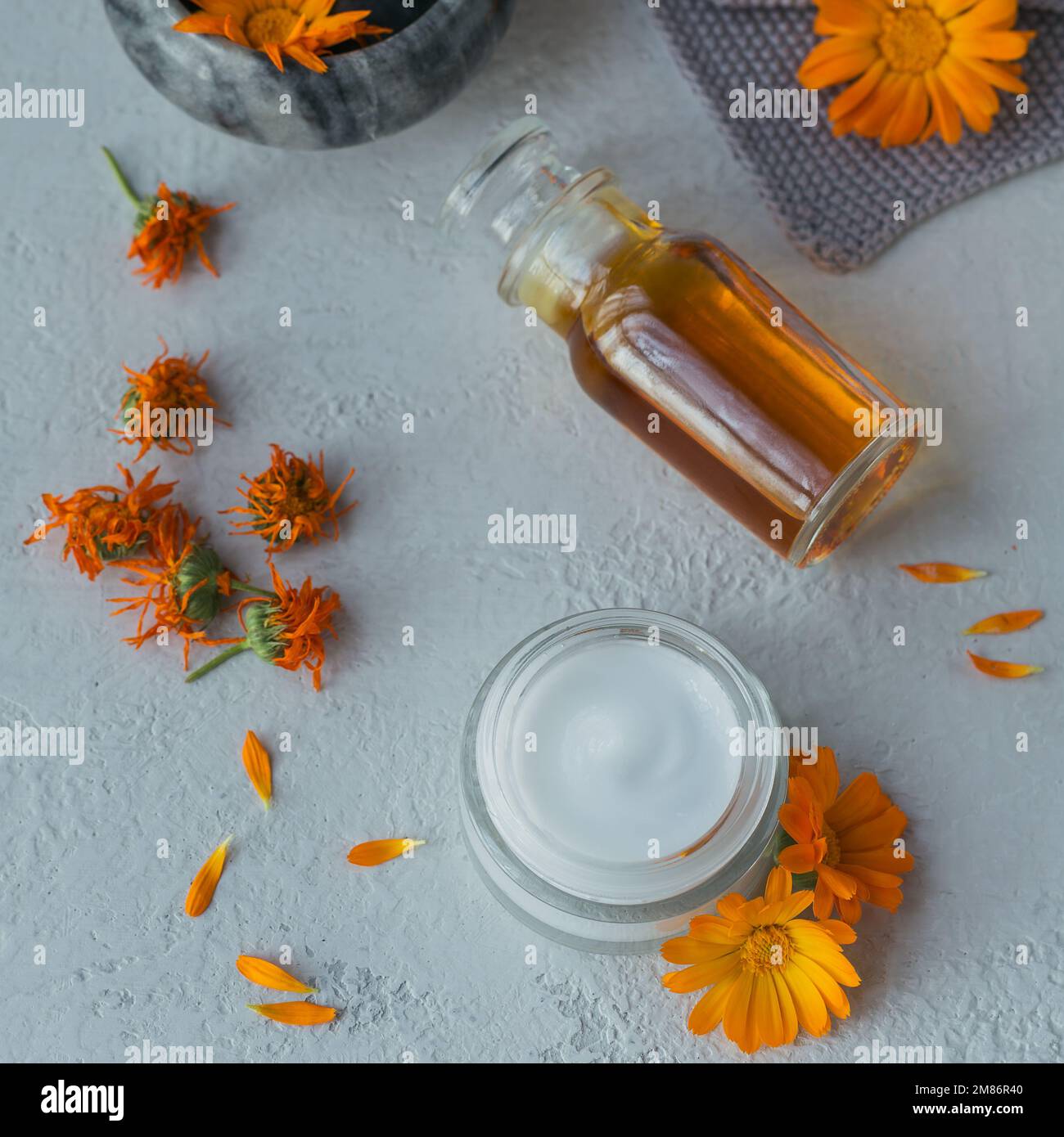 Una bottiglia di tintura di marigold della pentola o infusione, unguento, crema o balsamo con i fiori freschi e asciutti di Calendula su fondo chiaro. Erbe naturali Foto Stock