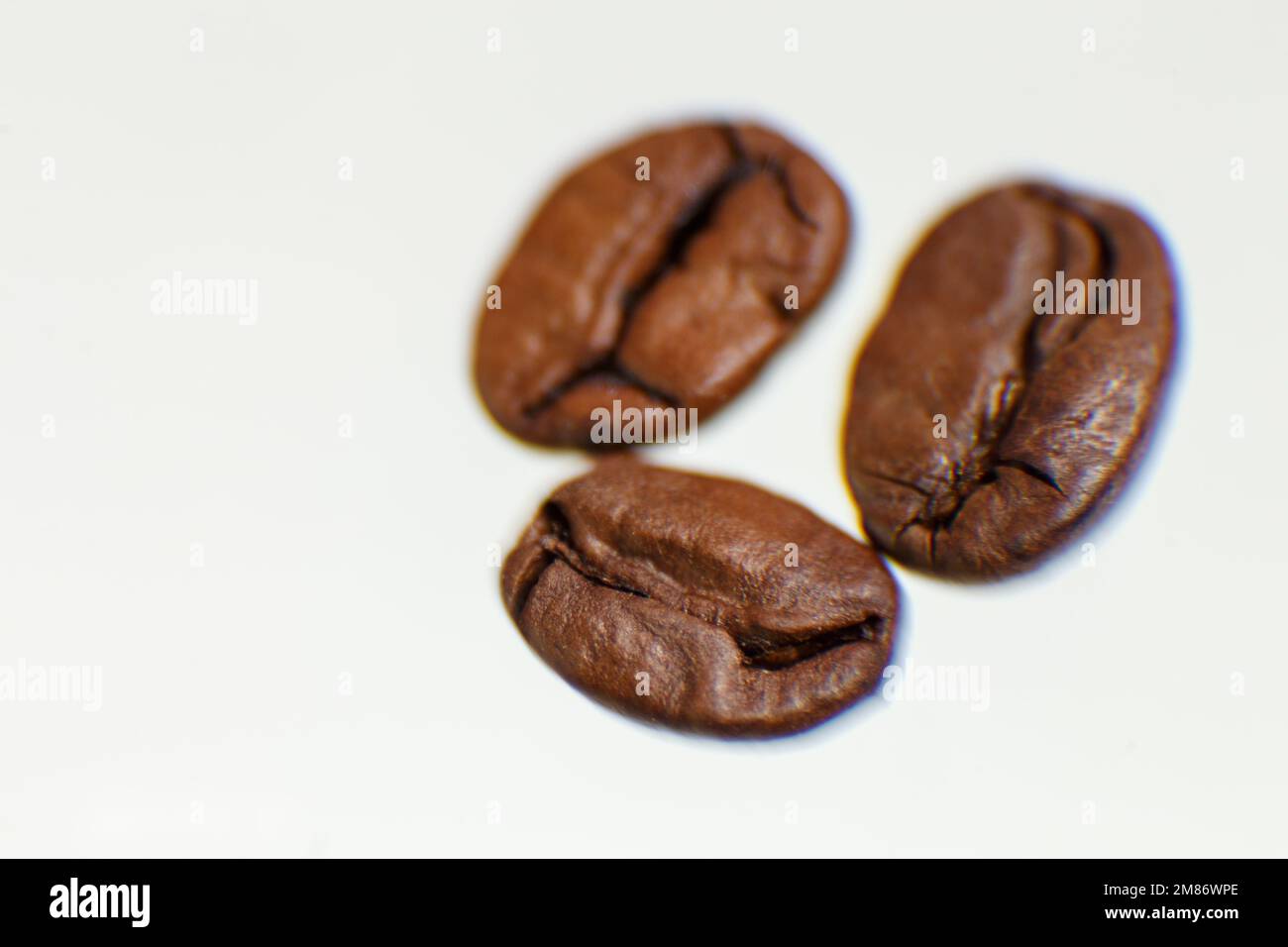 diversi chicchi di caffè fotografati su sfondo bianco. Foto di alta qualità Foto Stock