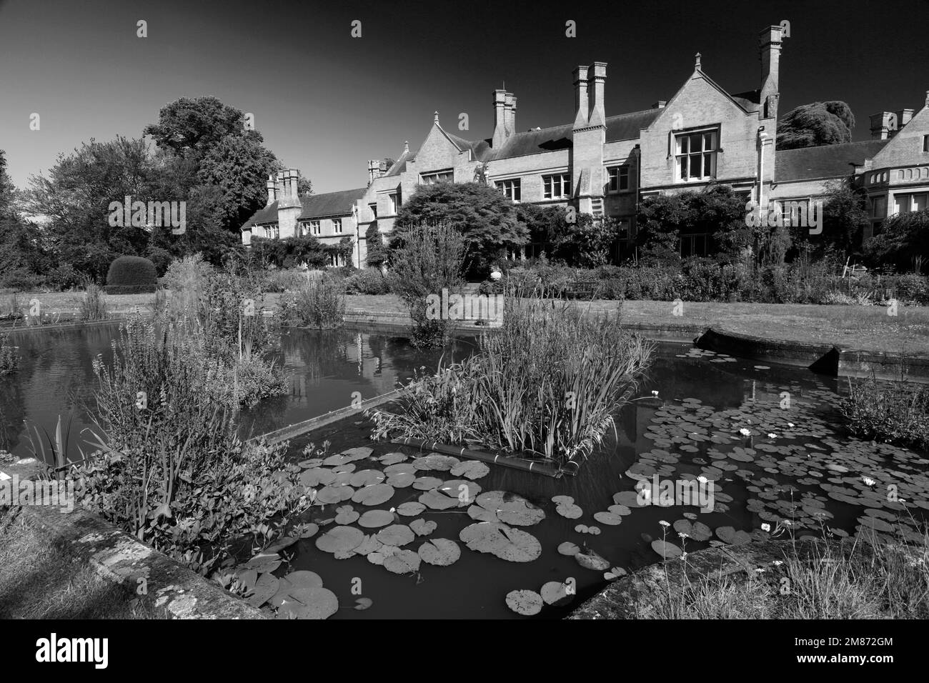 La RSPB Lodge riserva naturale, Sandy Heath, città di sabbia, Bedfordshire, Inghilterra Foto Stock
