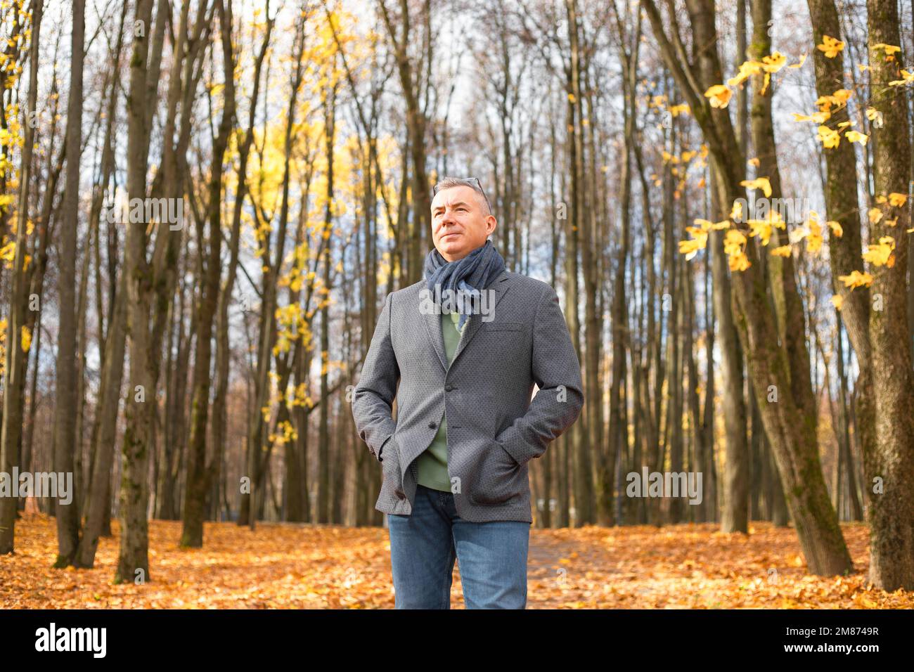 Uomo positivo, fiducioso, premuroso grizzled in occhiali, indossare abiti caldi con le mani in tasche a piedi in oro parco Foto Stock