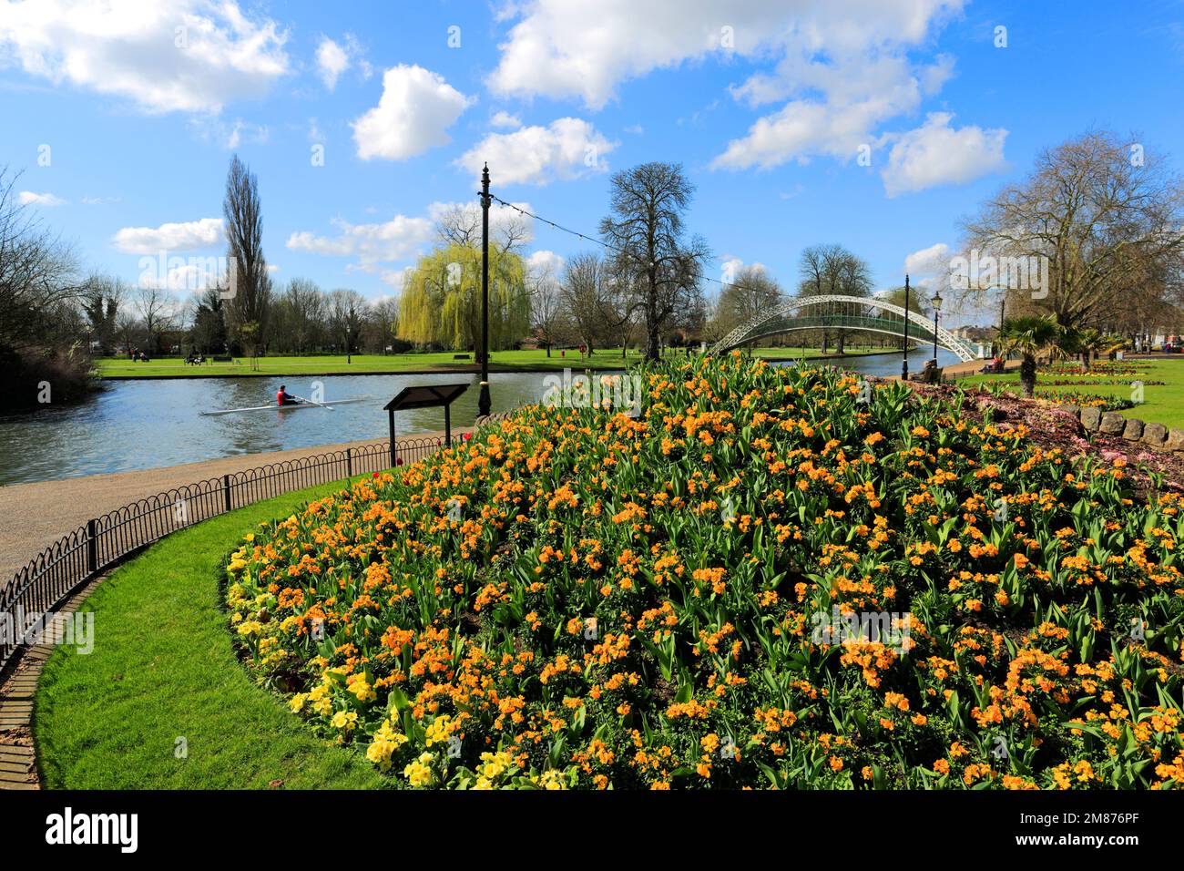 Fiori di Primavera, il Fiume Great Ouse terrapieno di notte, Bedford città; Bedfordshire County, England, Regno Unito Foto Stock