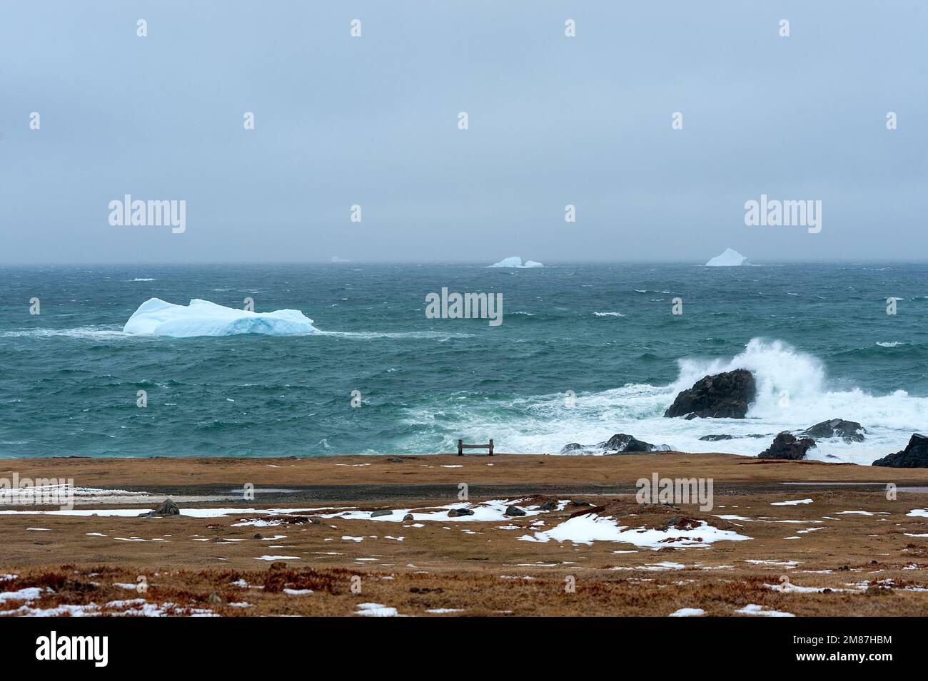 I banchi di ghiaccio galleggiano oltre la costa di Terranova. Foto Stock