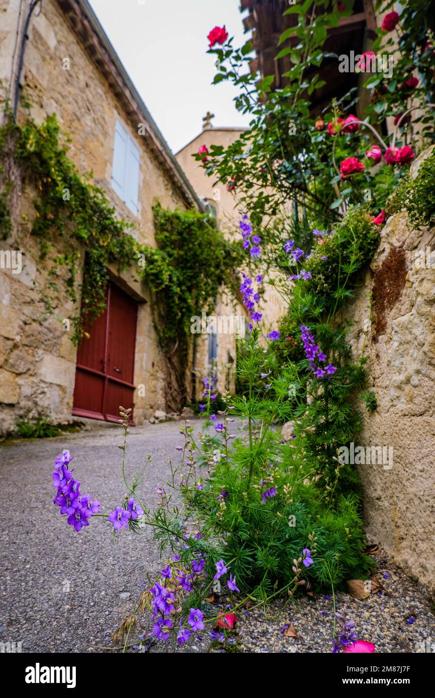 Strada fiorita del piccolo villaggio di Lavardens nel sud della Francia (Gers) Foto Stock