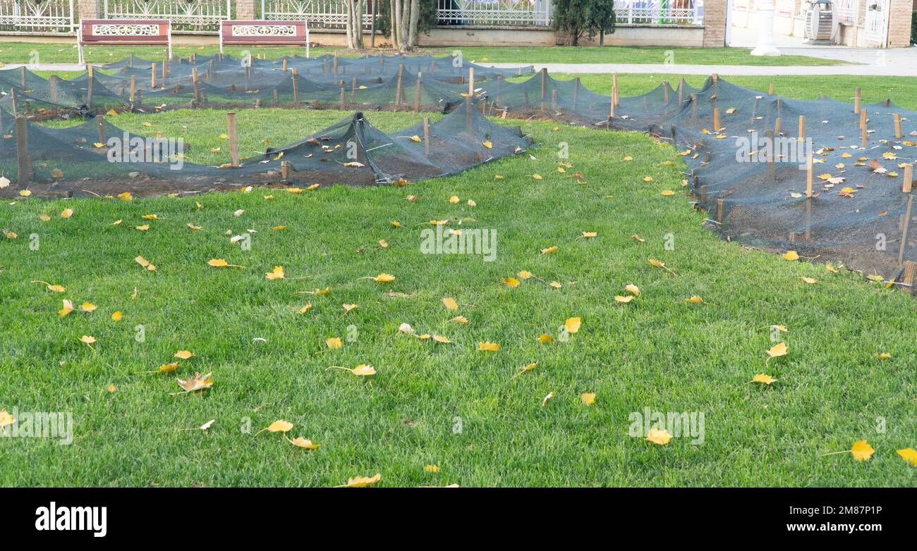 Giardini pubblici parchi a Istanbul Turchia. Piantare fiori per la stagione primaverile. Concetto di giardinaggio Foto Stock