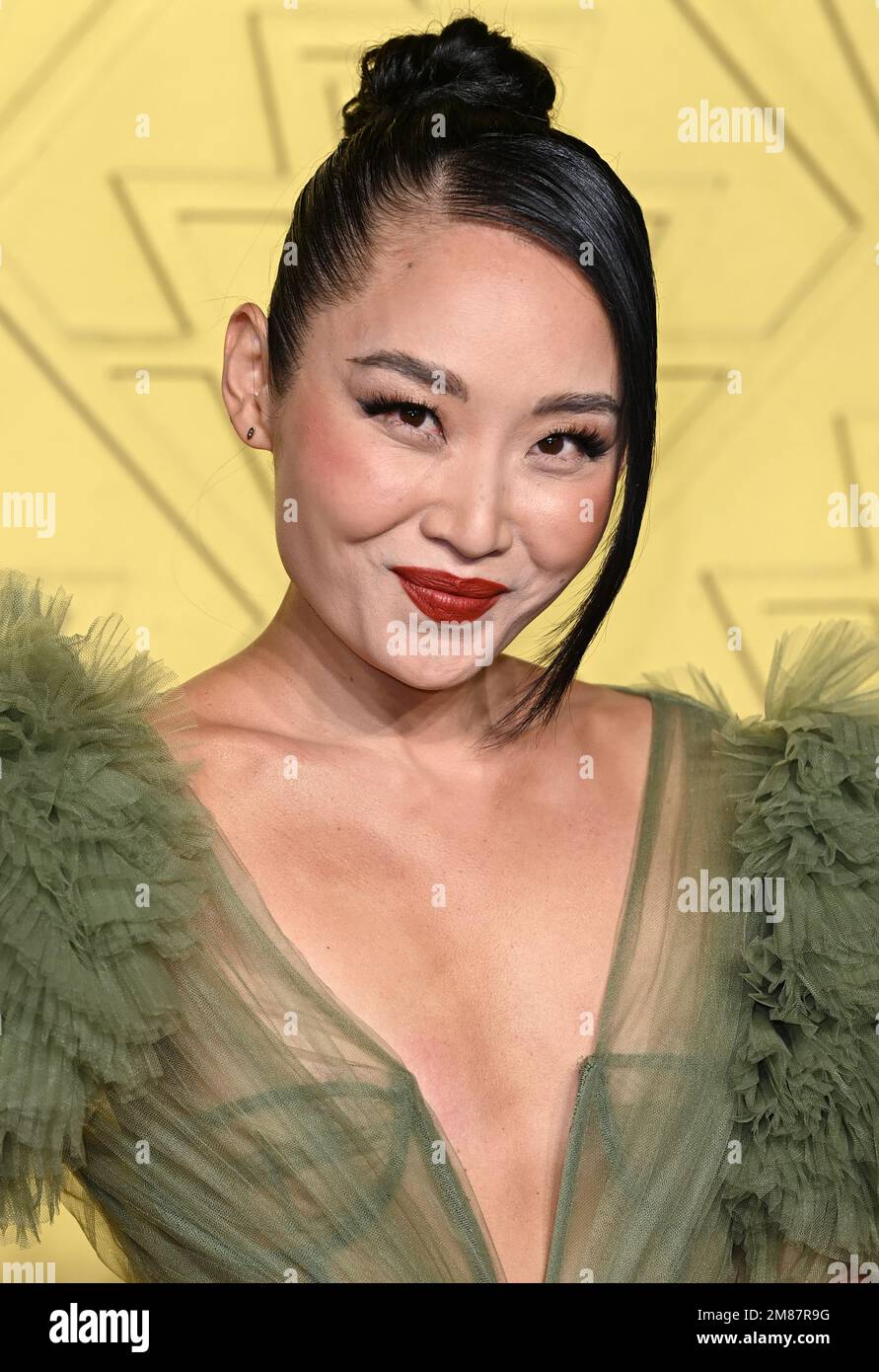 12th gennaio 2023, Londra, Regno Unito. Li Jun li arriva al Babylon UK Premiere, BFI IMAX, Waterloo, Londra. Credit: Doug Peters/EMPICS/Alamy Live News Foto Stock