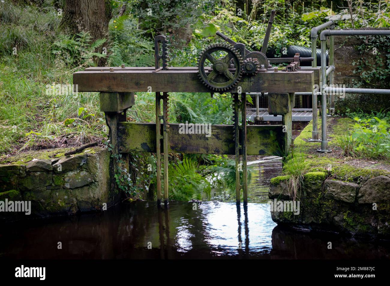 Una vecchia saracinesca in legno in un piccolo torrente a Calder vale, Lancashire, Inghilterra Foto Stock