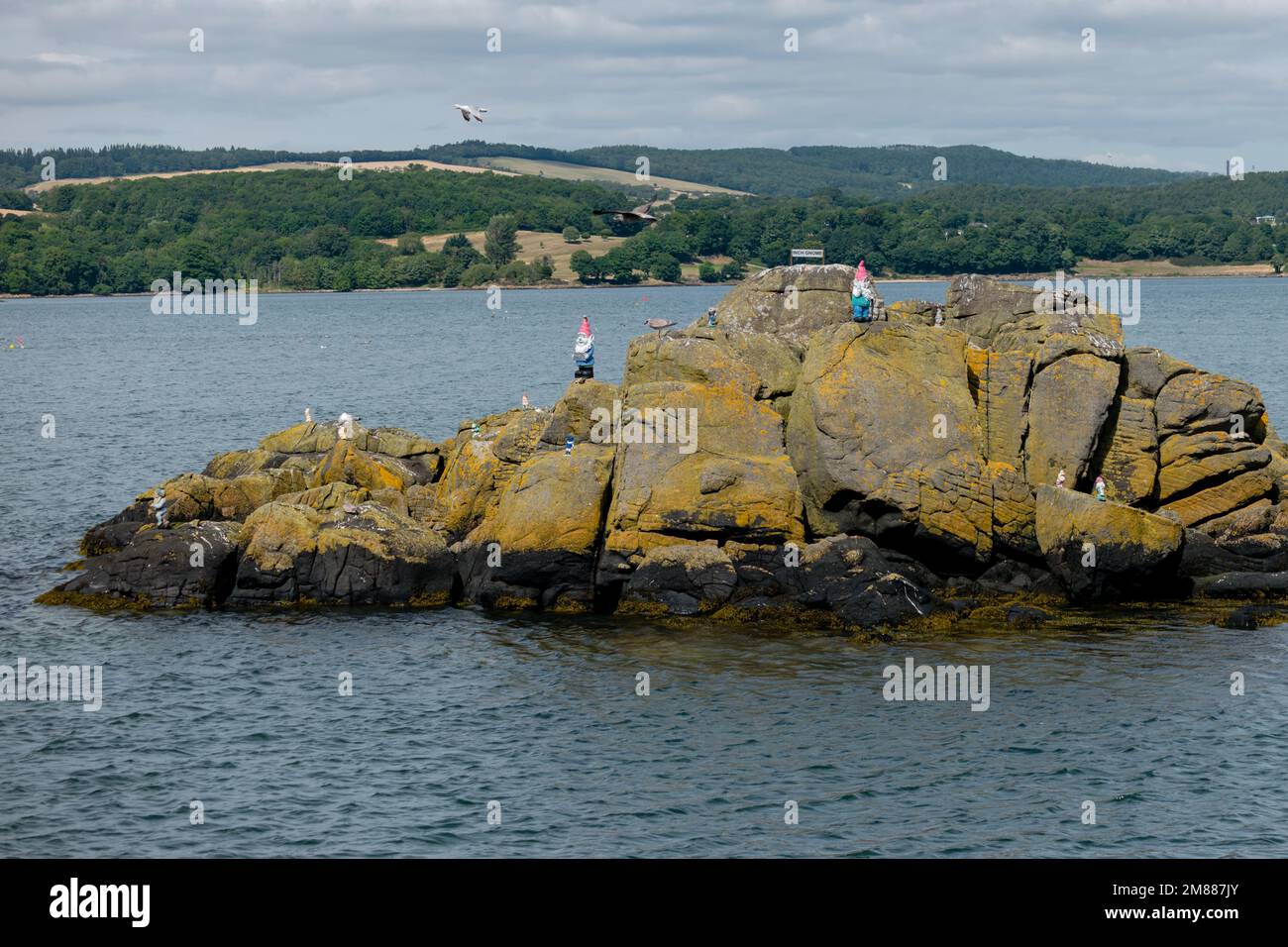 Piccola isola rocciosa chiamata scherzosamente Inch Gnome, adiacente a Inchcolm Island nel Firth of Forth Foto Stock
