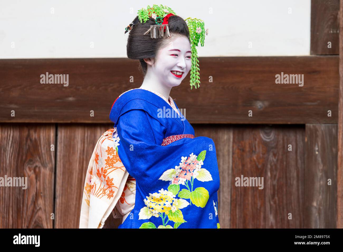 Una maiko e geisha sparare al tempio Manpakuji, Kyoto Foto Stock