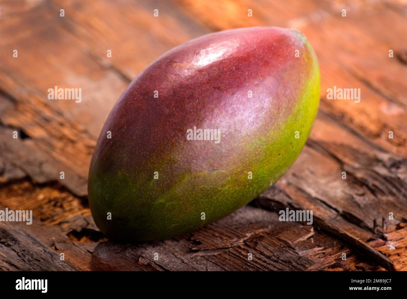 un mango in primo piano Foto Stock