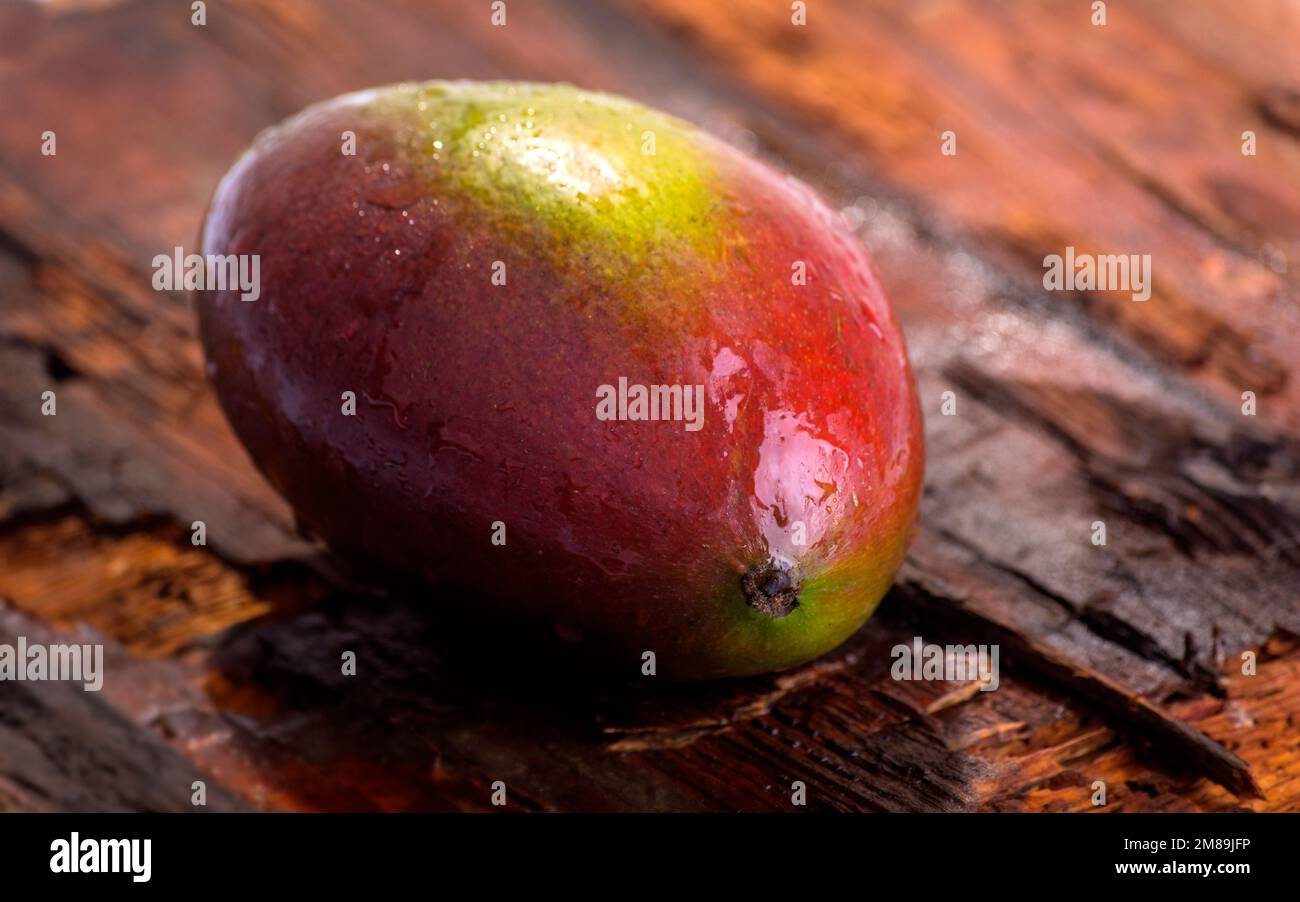 un mango in primo piano Foto Stock