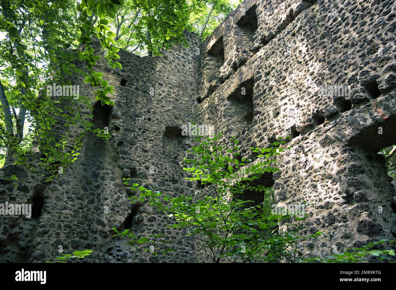 Un colpo di angolo basso del Castello di Ramstein in una foresta verde a Kordel, Germania Foto Stock