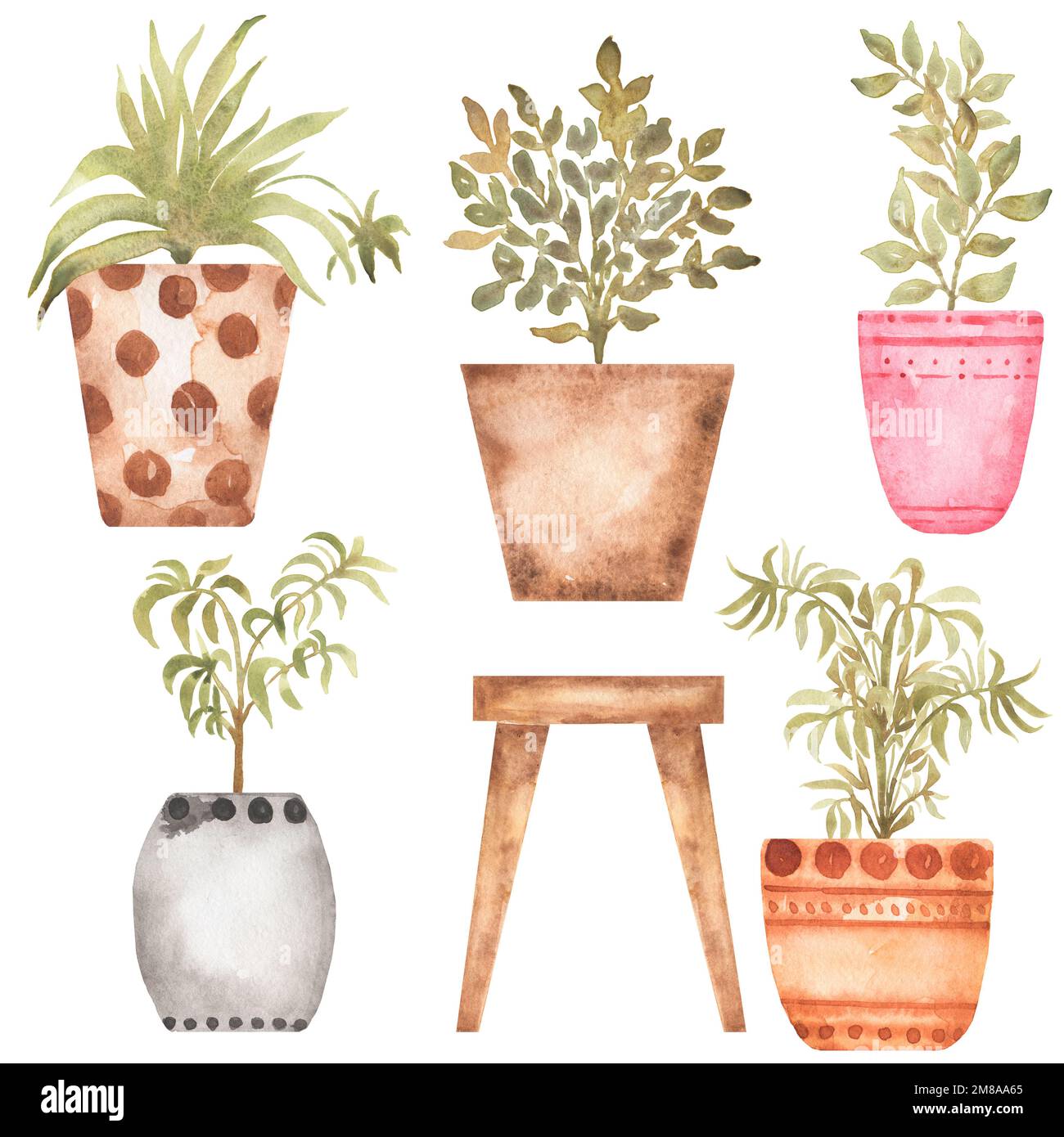 Houseplants clipart, Watercolor mano disegnata casa giardino illustrazione, casa florals clip art set, fiori in vaso, la creazione di carte, logo design, scrapbookin Foto Stock