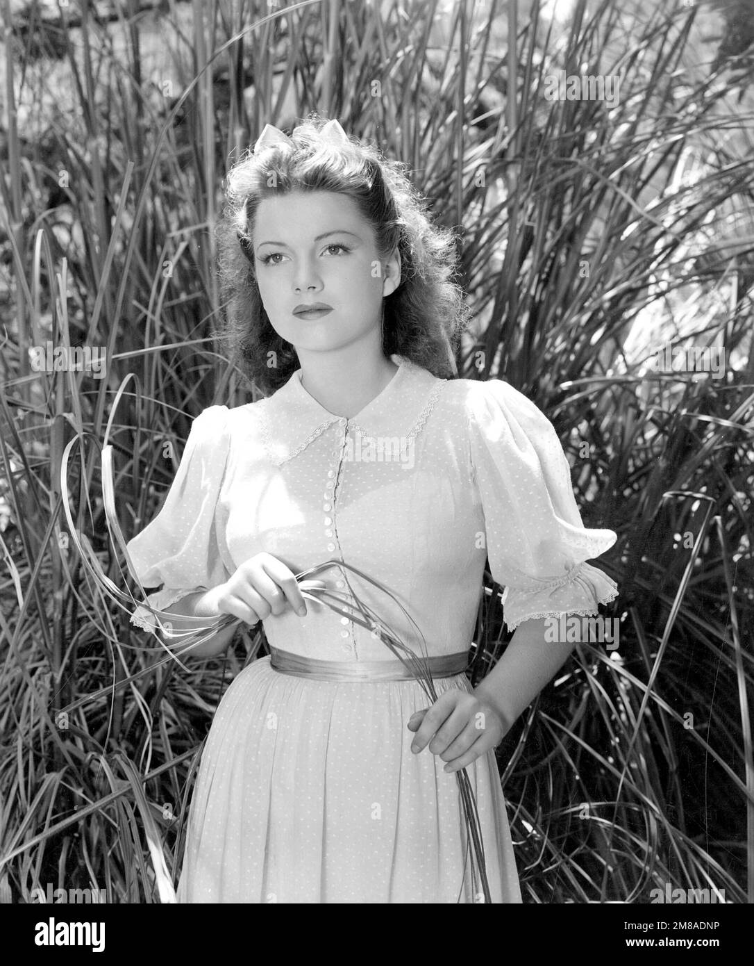 ANNE BAXTER in ACQUA PALUDE (1941), regia di JEAN RENOIR. Credit: 20th CENTURY FOX / Album Foto Stock