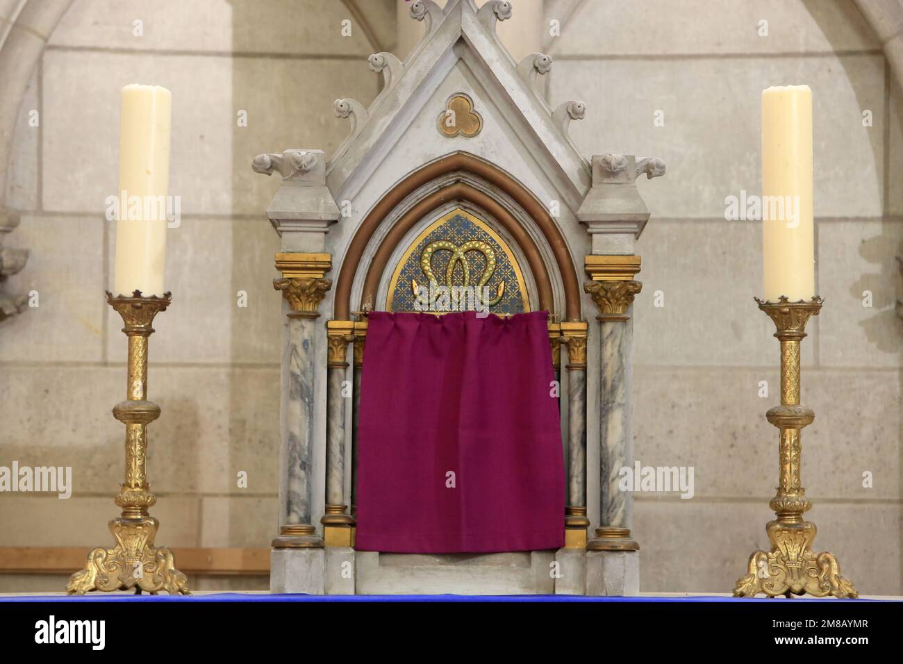 Autel. Dimanche des Rameaux. Semaine Sainte. Cathédrale Saint-Etienne. Meaux. Senna e Marna. Francia. Europa. Foto Stock