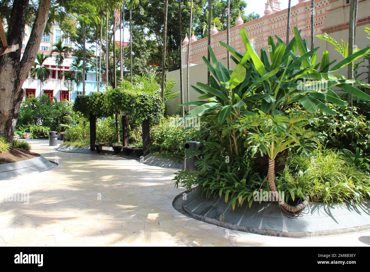 giardino pubblico a singapore Foto Stock