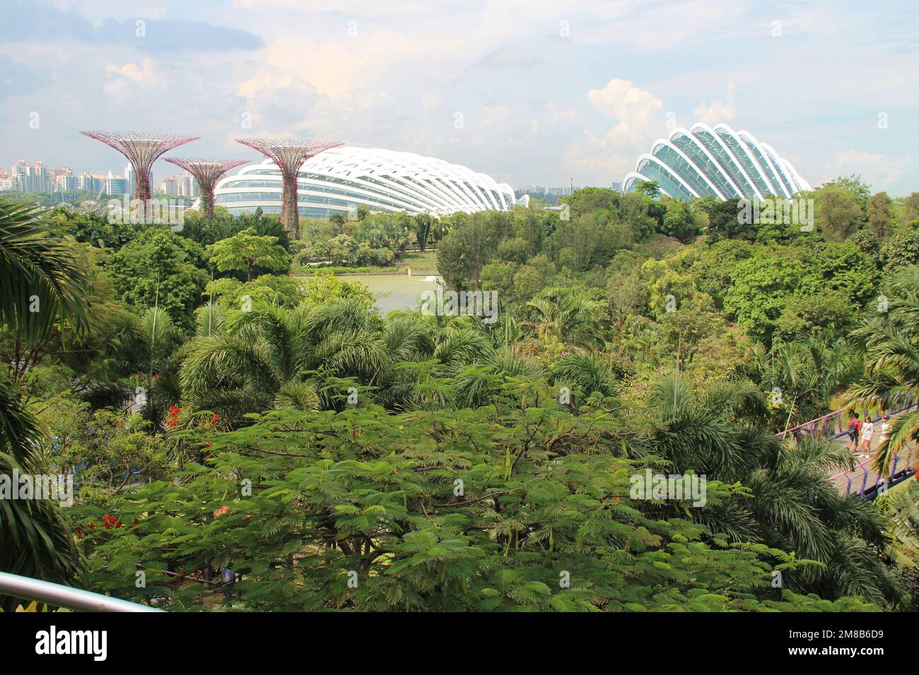 giardini presso la baia di singapore Foto Stock
