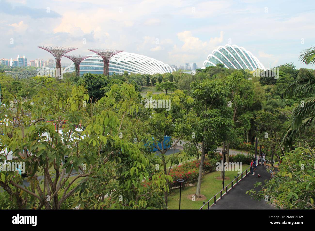 giardini presso la baia di singapore Foto Stock