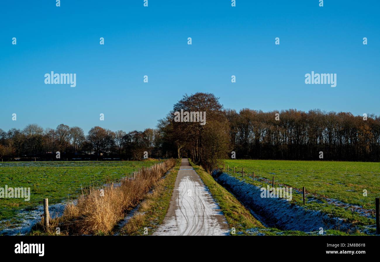 Paesaggio invernale con pista ciclabile a Drenthe, Paesi Bassi Foto Stock
