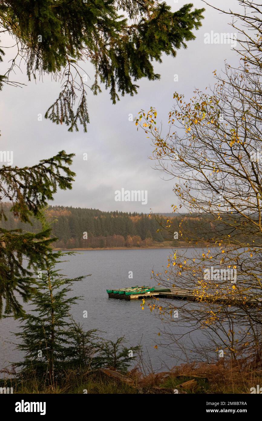 Lago e molo incorniciato da rami di albero e foglie in un giorno d'autunno Foto Stock