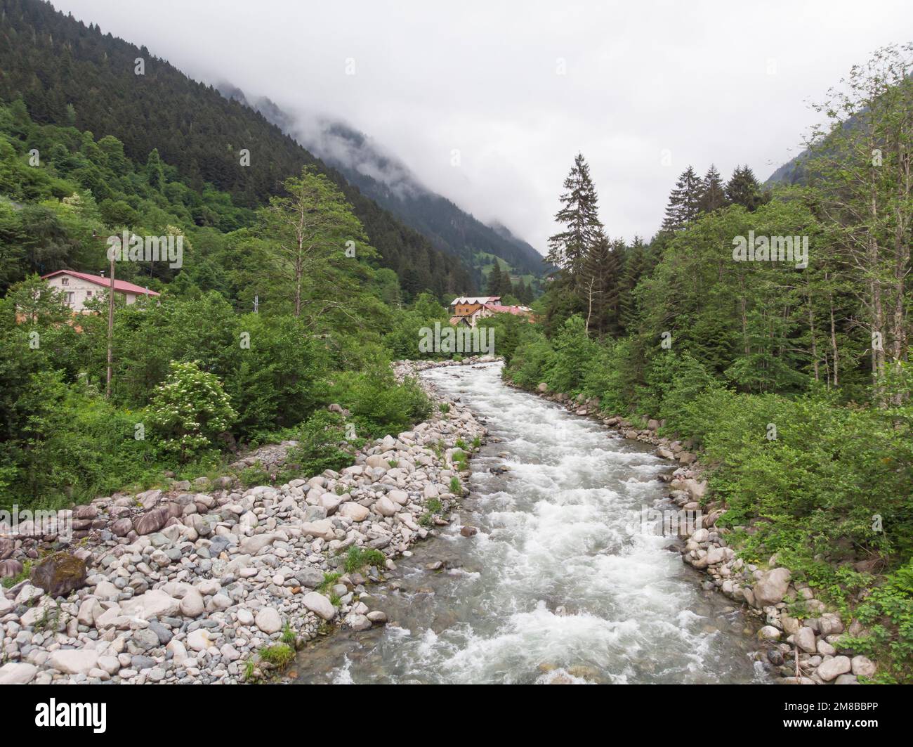 Fiume di montagna flusso di acqua nella foresta verde. Splendido paesaggio Foto Stock