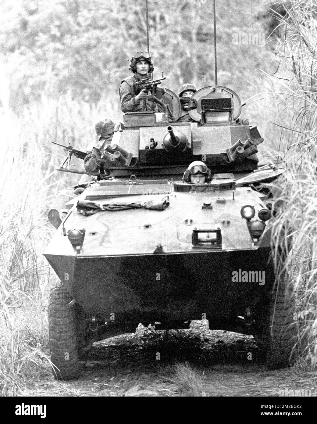 2 battaglione di fanteria leggera immagini e fotografie stock ad alta