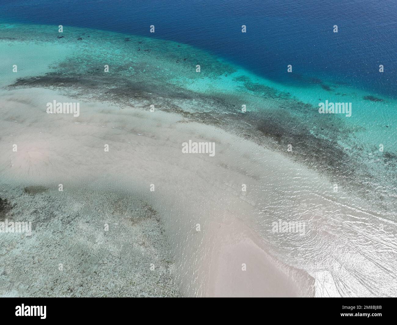 Zanzibar (Spiaggia di Muyuni sull'isola più grande dell'arcipelago di Zanzibar, Unguja, Vista aerea) Foto Stock