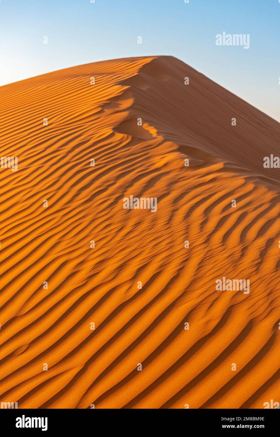 Dune di sabbia, Wahiba Sands Desert, Bidiyah, Oman Foto Stock