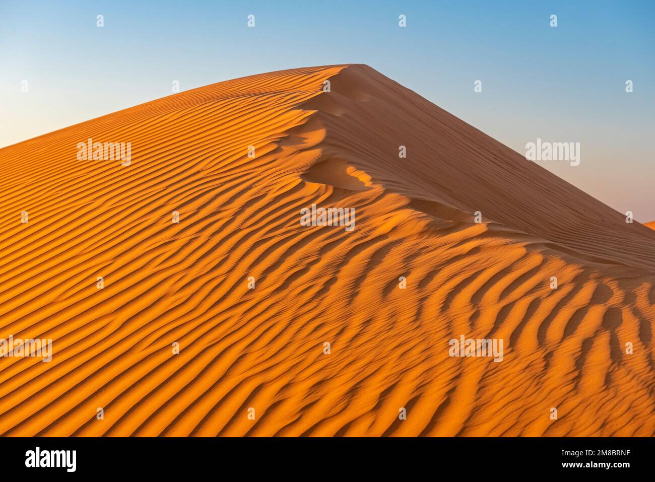 Dune di sabbia, deserto di Wahiba, sabbia di Sharqiya, Bidiyah, Oman Foto Stock
