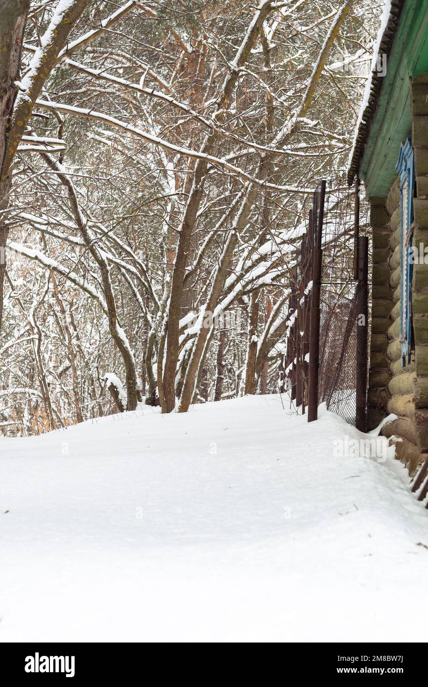 percorso coperto di neve nella foresta invernale Foto Stock