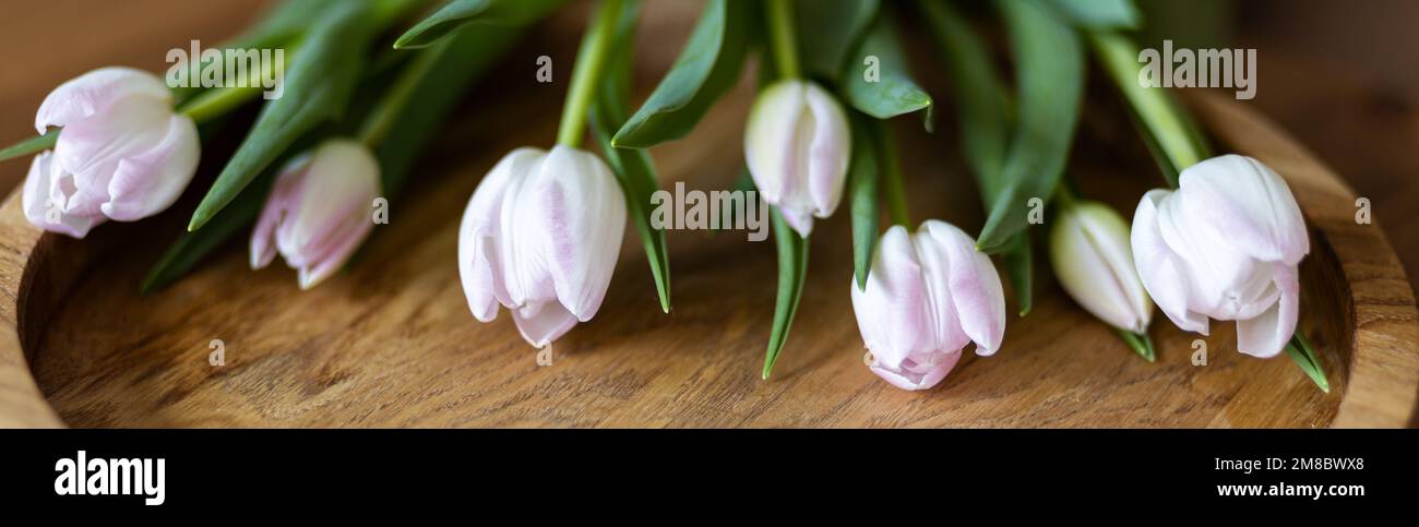 delicati tulipani di colore pallido giacciono su un bellissimo vassoio di legno Foto Stock