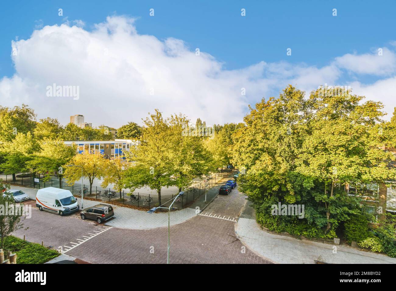 una strada con auto parcheggiate sul lato e alberi sul retro, circondata da foglie verdi e fogliame giallo Foto Stock