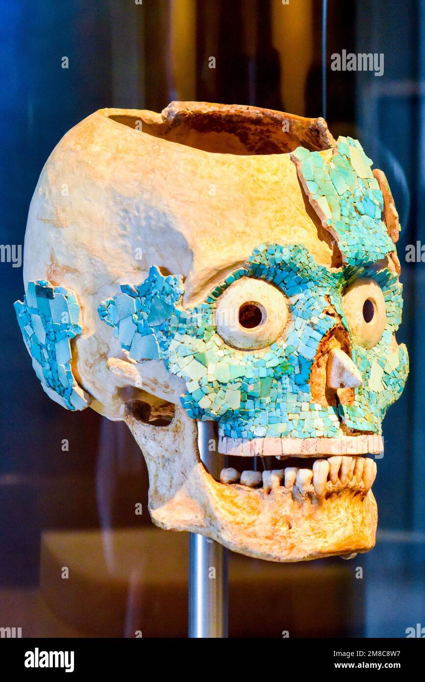 Cranio Zapotec in mostra nel Museo delle culture di Oaxaca nel centro storico, Oaxaca México Foto Stock