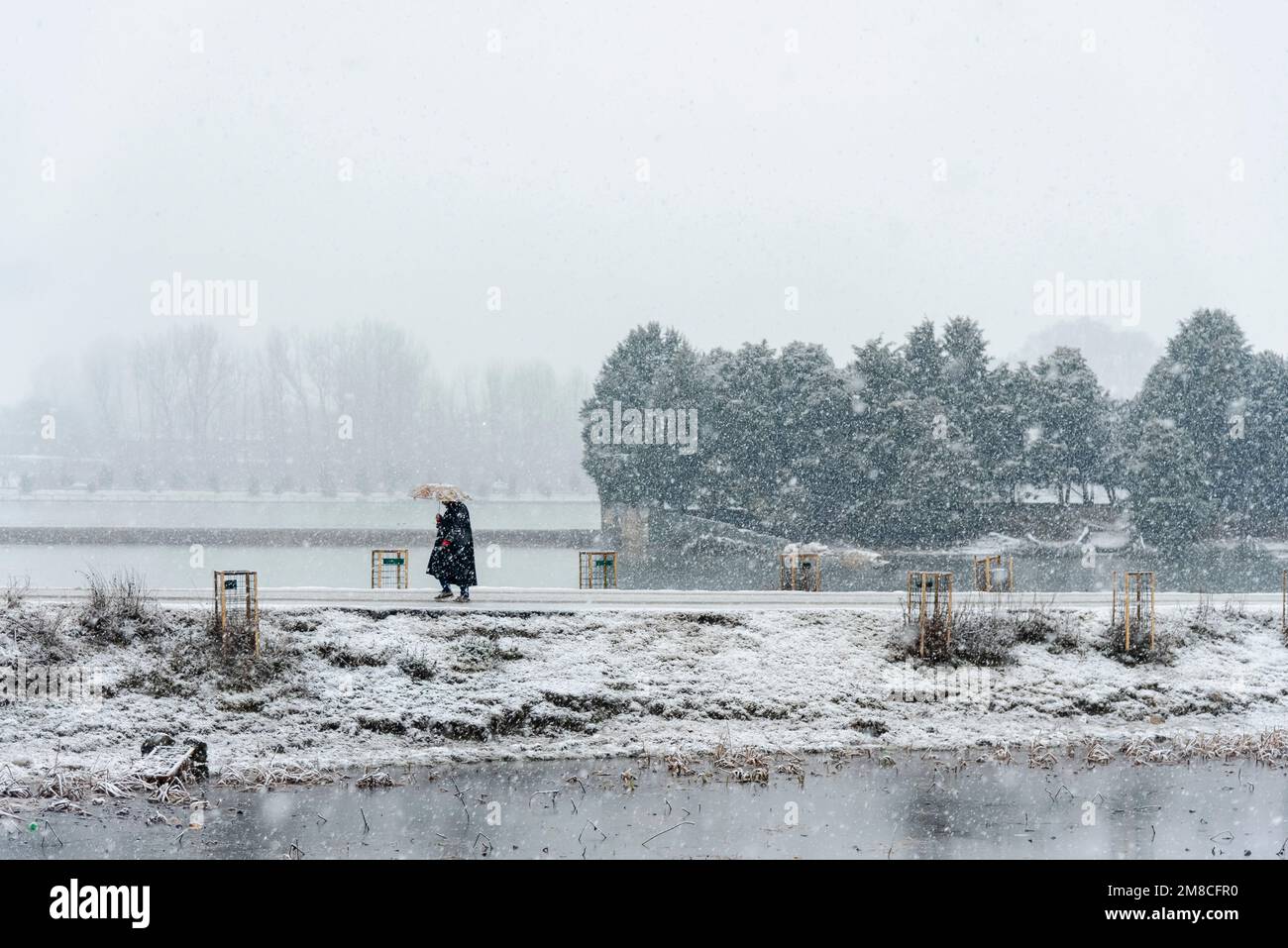 Un uomo con un ombrello cammina lungo una strada innevata durante le nevicate. Il Kashmir ha ricevuto nevicate fresche, con le cali più alte della valle che hanno ricevuto nevicate da moderate a pesanti e nevicate da leggere a moderate in pianura, causando una visibilità distruttiva. Questo ha influito sulle operazioni di volo insieme alla chiusura dell'autostrada nazionale Srinagar-Jammu. Foto Stock