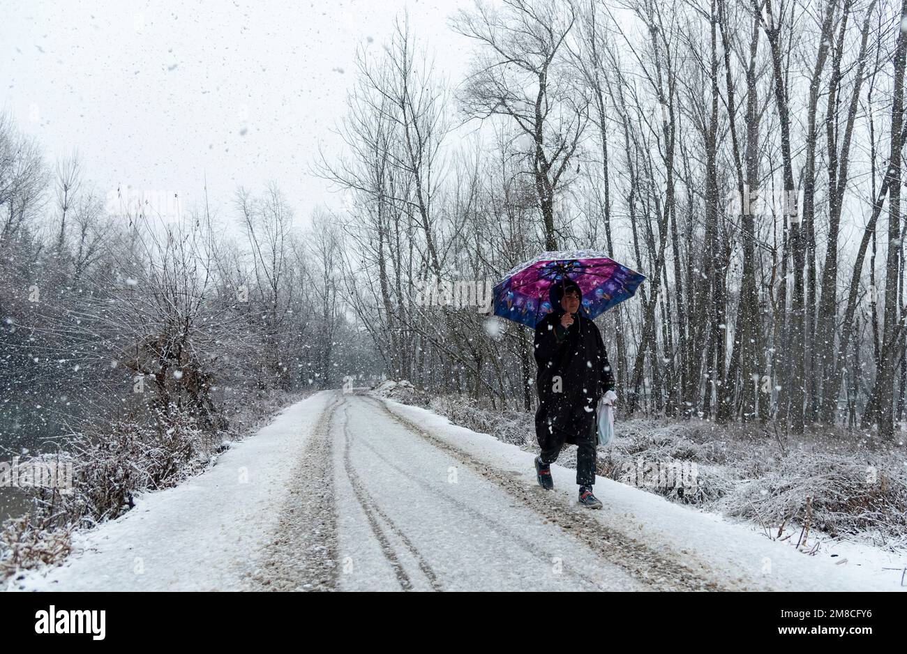 Un ragazzo con un ombrello cammina lungo una strada innevata durante le nevicate. Il Kashmir ha ricevuto nevicate fresche, con le cali più alte della valle che hanno ricevuto nevicate da moderate a pesanti e nevicate da leggere a moderate in pianura, causando una visibilità distruttiva. Questo ha influito sulle operazioni di volo insieme alla chiusura dell'autostrada nazionale Srinagar-Jammu. Foto Stock