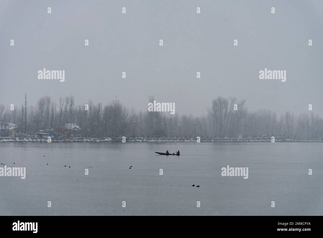 Una donna rema la sua barca sul lago dal durante le nevicate. Il Kashmir ha ricevuto nevicate fresche, con le cali più alte della valle che hanno ricevuto nevicate da moderate a pesanti e nevicate da leggere a moderate in pianura, causando una visibilità distruttiva. Questo ha influito sulle operazioni di volo insieme alla chiusura dell'autostrada nazionale Srinagar-Jammu. Foto Stock