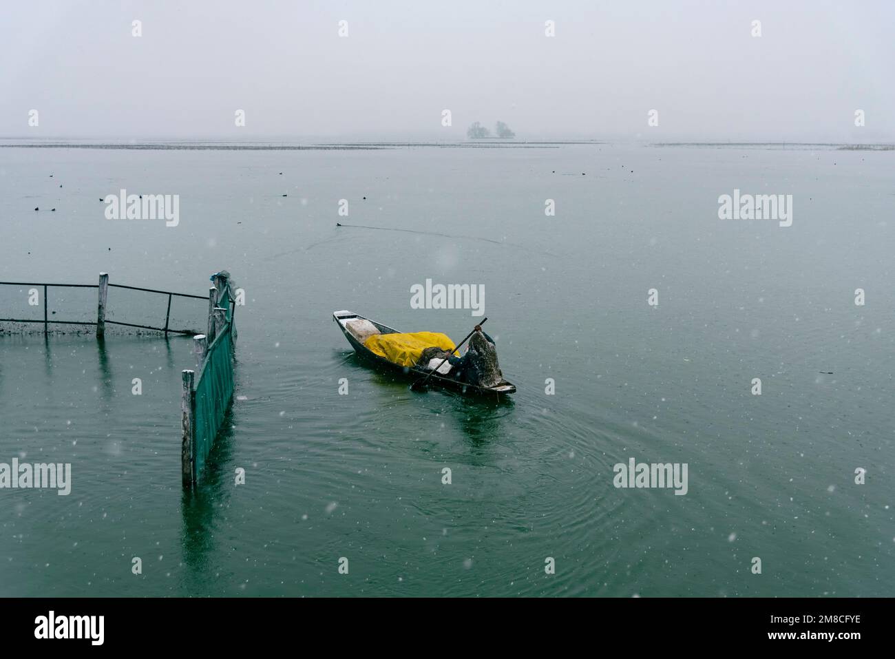 Un uomo rema la sua barca sul lago dal in mezzo a nevicate. Il Kashmir ha ricevuto nevicate fresche, con le cali più alte della valle che hanno ricevuto nevicate da moderate a pesanti e nevicate da leggere a moderate in pianura, causando una visibilità distruttiva. Questo ha influito sulle operazioni di volo insieme alla chiusura dell'autostrada nazionale Srinagar-Jammu. Foto Stock