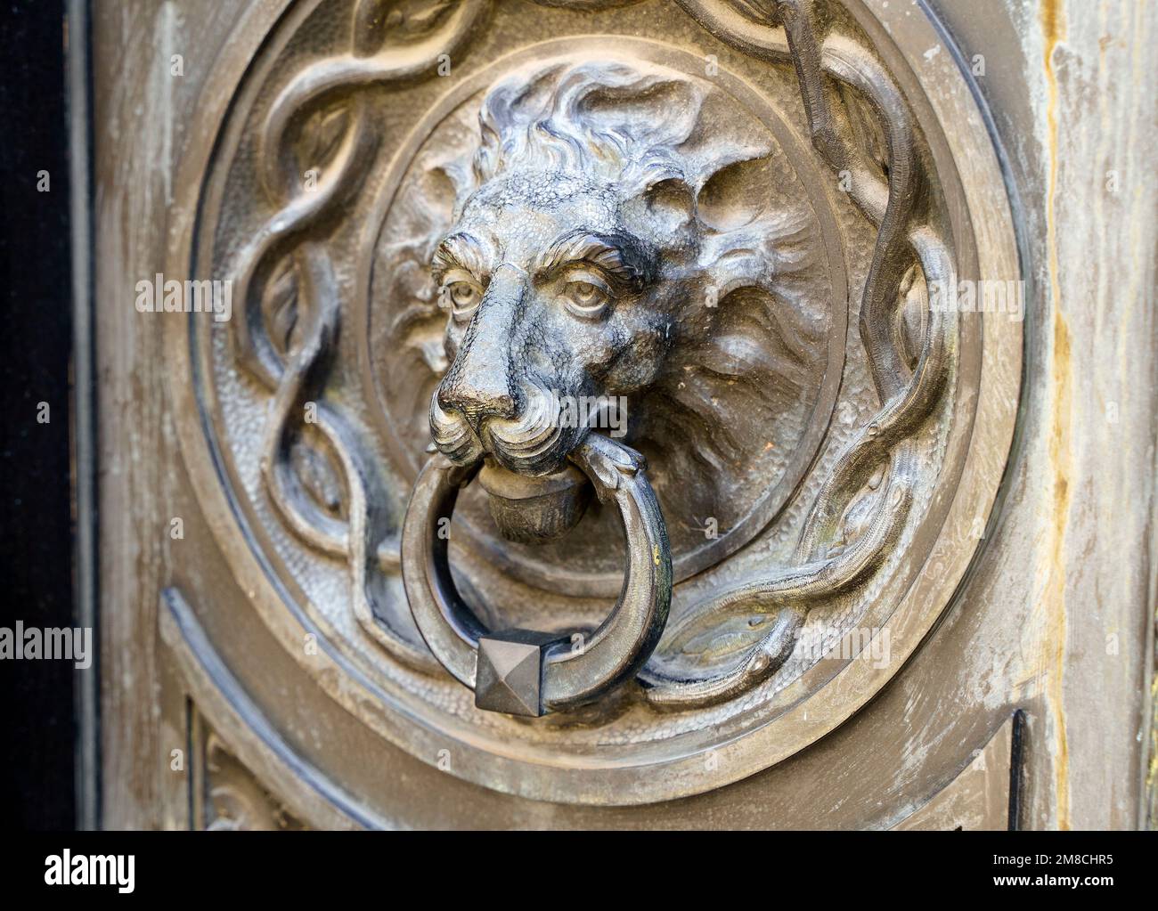 Antico maniglione decorativo sulla porta della casa d'epoca in legno. Testa di leone in bronzo metallico classico. Foto di alta qualità Foto Stock