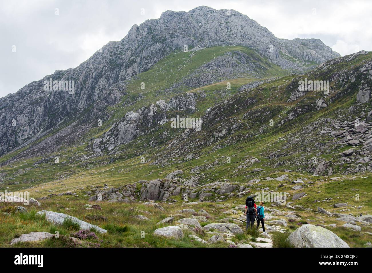 Tryfan Mountain nella valle di Ogwen, Snowdonia National Park, Galles, Regno Unito Foto Stock