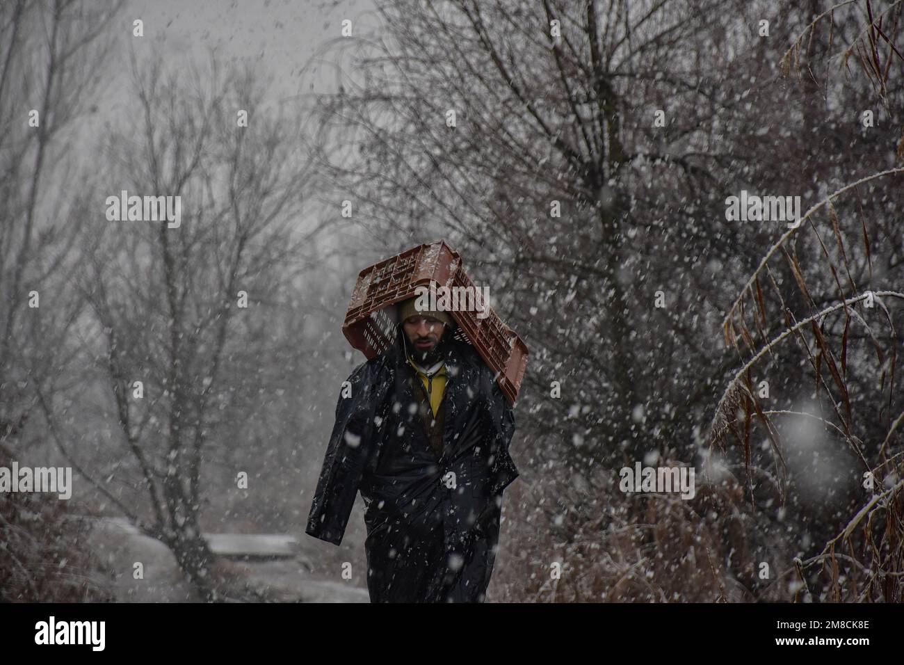 Un uomo copre la testa con una cassa mentre cammina lungo la strada durante la nevicata. Parti della valle di Kashmir compreso Srinagar ha ricevuto nevicate che portano alla chiusura della vitale Srinagar-Jammu autostrada nazionale e la cancellazione delle operazioni di volo, funzionari qui ha detto. Foto Stock