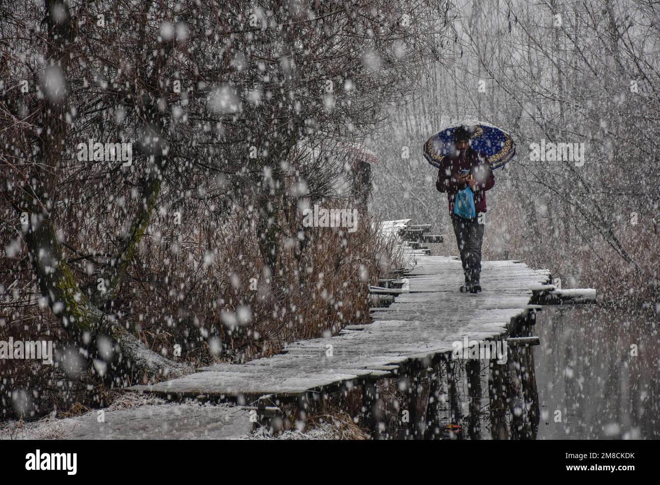 Un uomo tiene un ombrello mentre cammina attraverso il ponte pedonale di legno durante le nevicate. Parti della valle di Kashmir compreso Srinagar ha ricevuto nevicate che portano alla chiusura della vitale Srinagar-Jammu autostrada nazionale e la cancellazione delle operazioni di volo, funzionari qui ha detto. Foto Stock