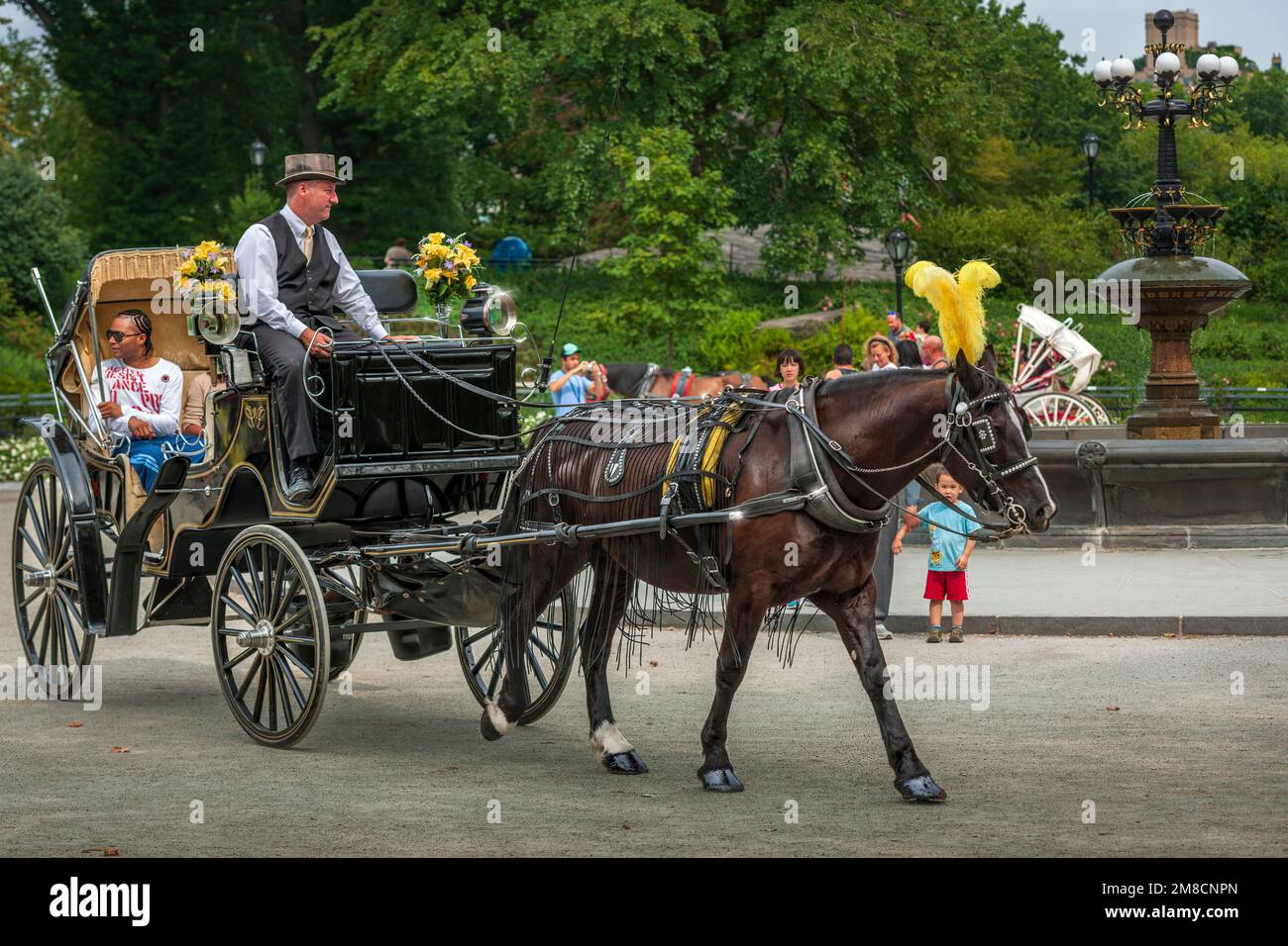 In una calda giornata di sole a New York City, una delle carrozze trainate da cavalli porta i passeggeri per un giro intorno a Central Park, situato tra l'Upper West Foto Stock