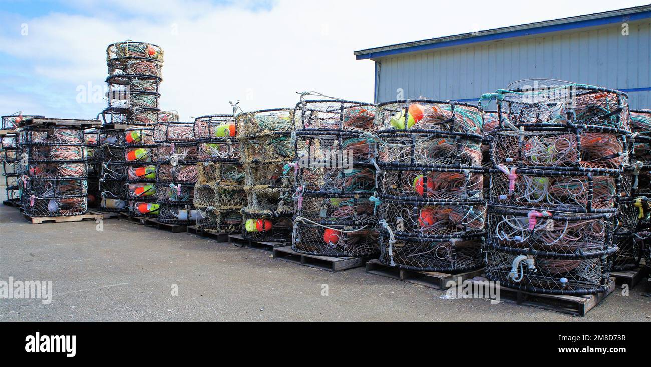 Gabbie di granchio Foto Stock