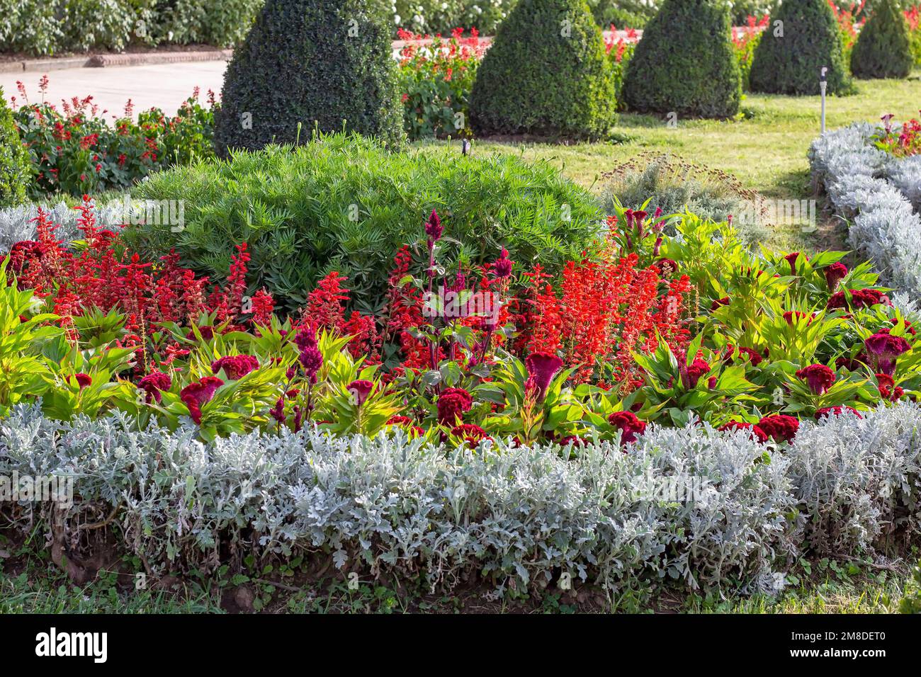 Fiori luminosi e colorati sul aiuole nel giardino ornamentale in estate giorno soleggiato all'aperto. Foto Stock