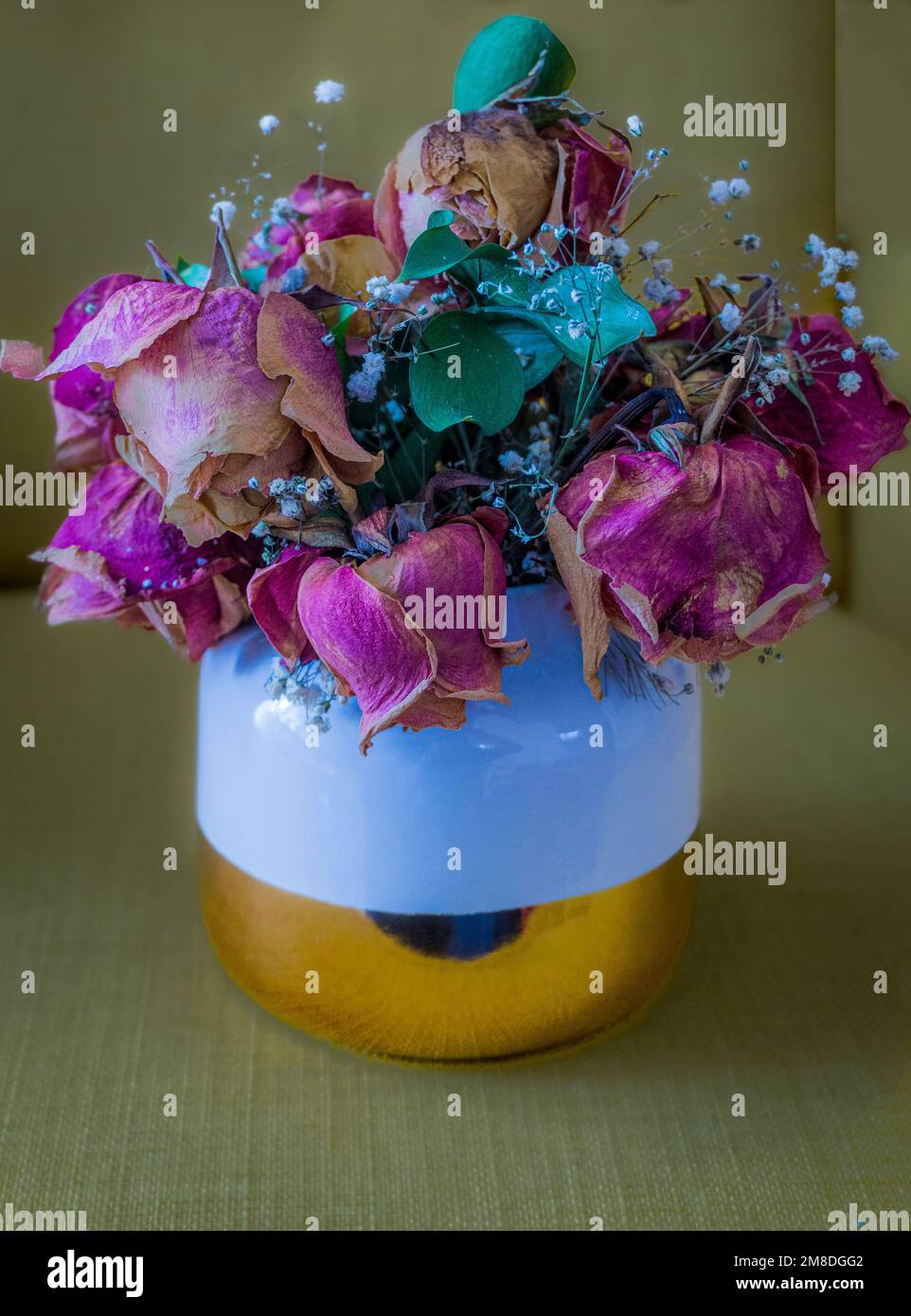 Bella disposizione di fiori secchi e foglie in un vaso bianco e placcato oro. Foto Stock