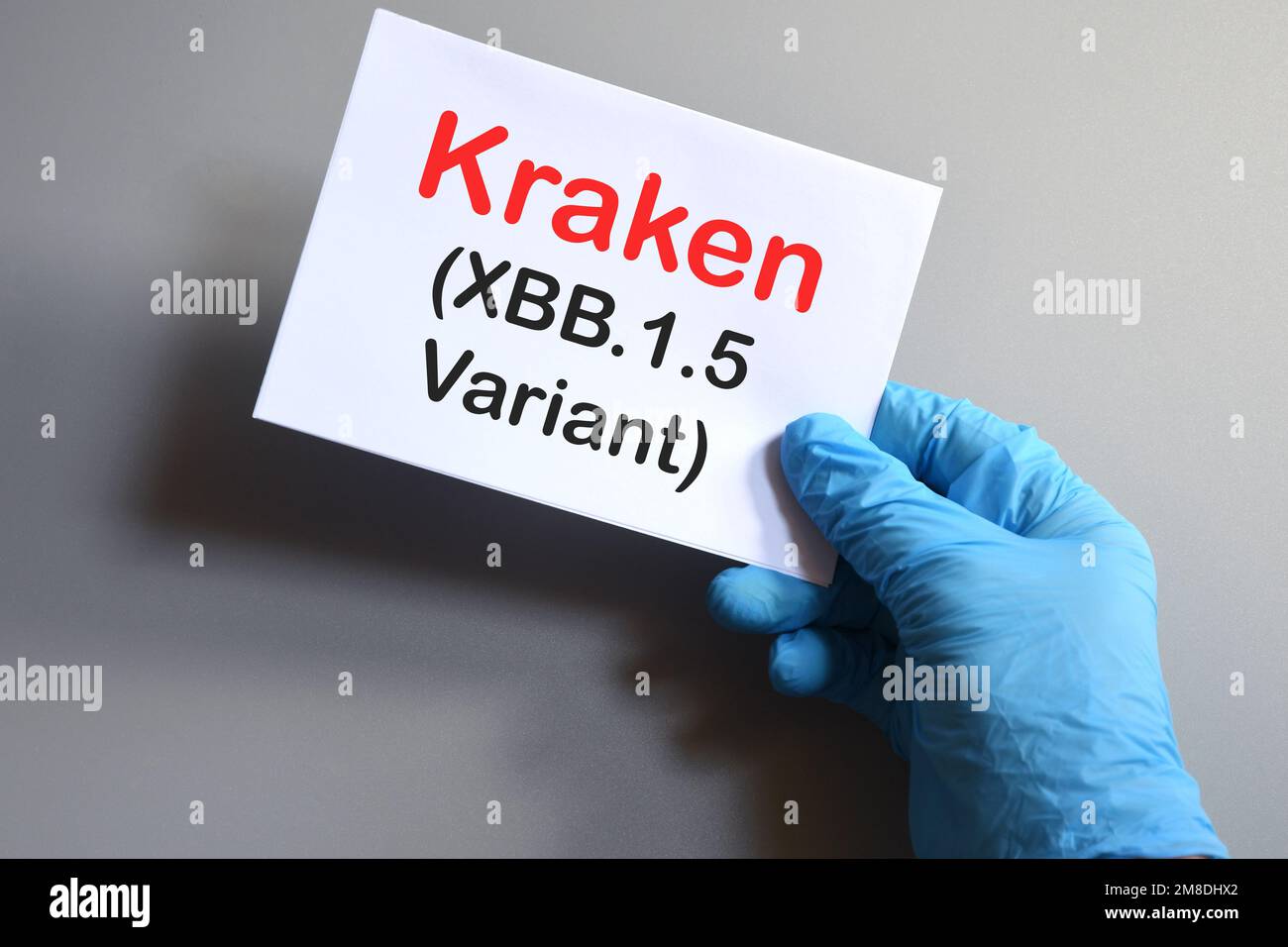 Nuova variante Covid-19. La mano del medico in guanto blu tiene foglio bianco con testo 'variante Kraken XBB.1,5'. Concetto per la nuova variante Covid 19 Kraken. Foto Stock