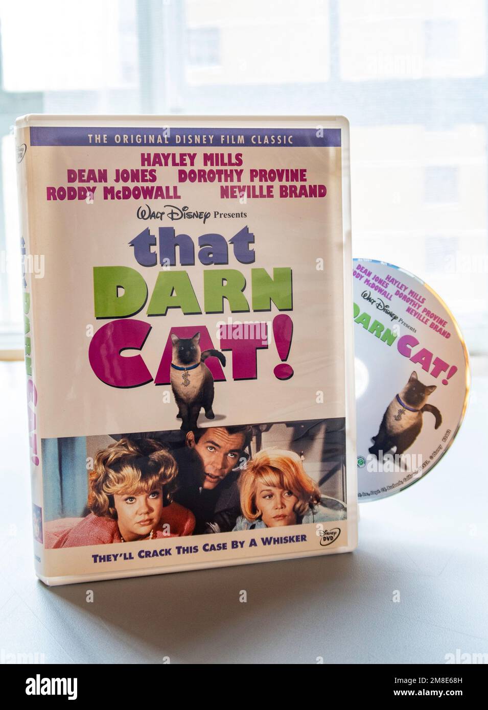 Ancora la vita del DVD 'che Darn Cat!' Rilasciato nel 1965, Stati Uniti Foto Stock