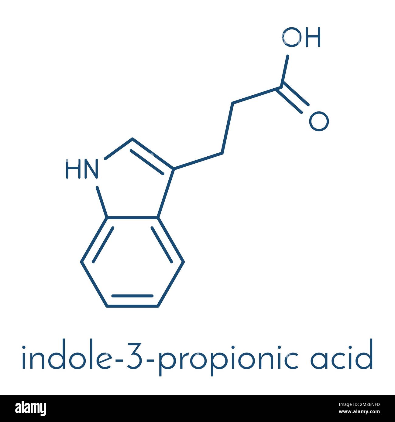 Acido indolo-3-propionico o molecola IPA. Formula scheletrica. Illustrazione Vettoriale