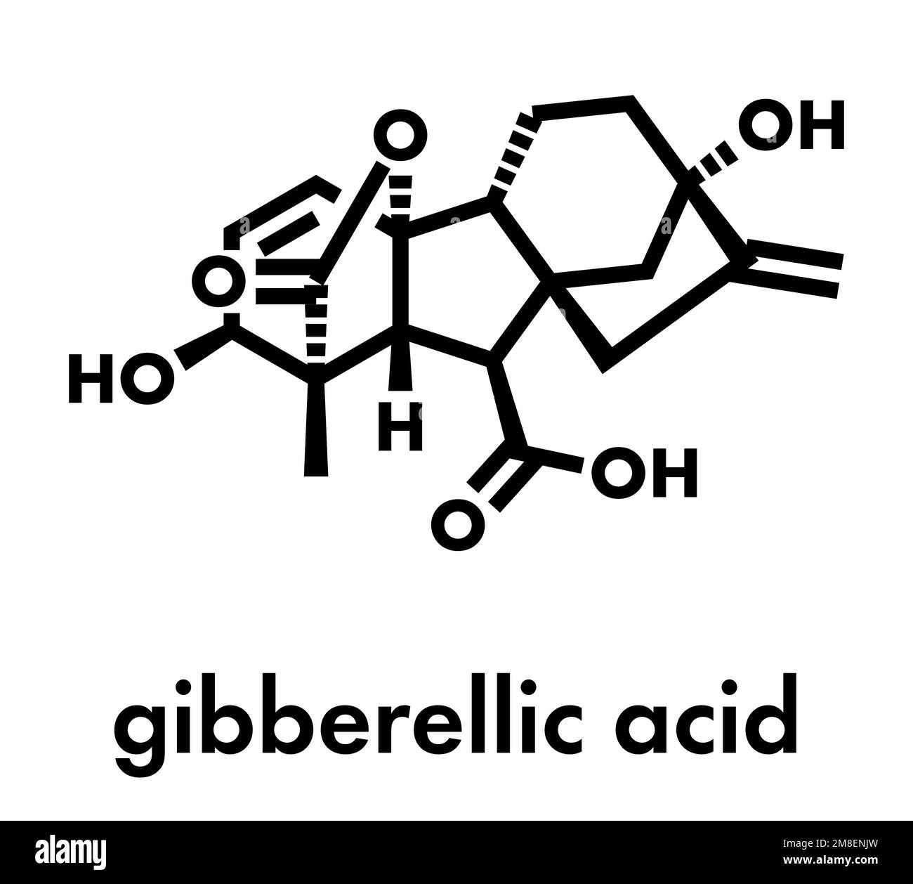 Acido gibberellico (gibberellina A3, GA3) molecola di ormone vegetale. Formula scheletrica. Illustrazione Vettoriale